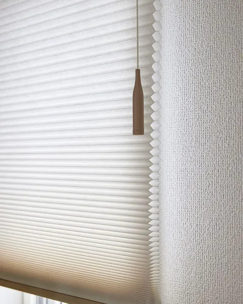 Pleated blinds